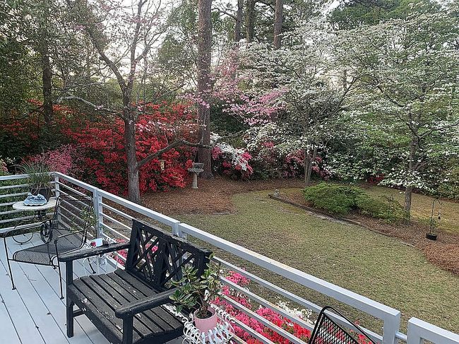 Image of 1105 Longleaf Dr