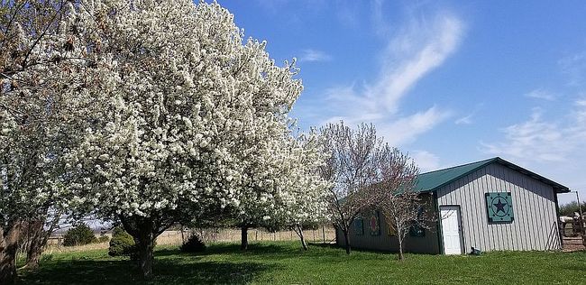 Photo of 15005 Six Mile Rd, Virginia, IL