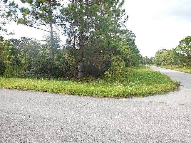 234 Comanche St Nw, Lake Placid, FL