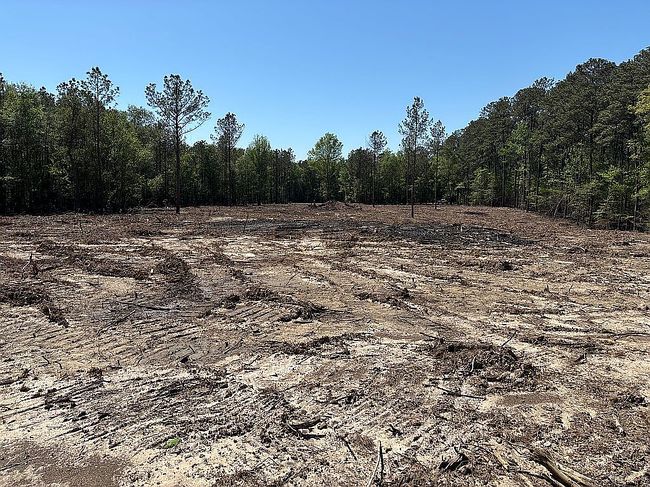 Photo of 161 Highway 1199, Elmer, LA