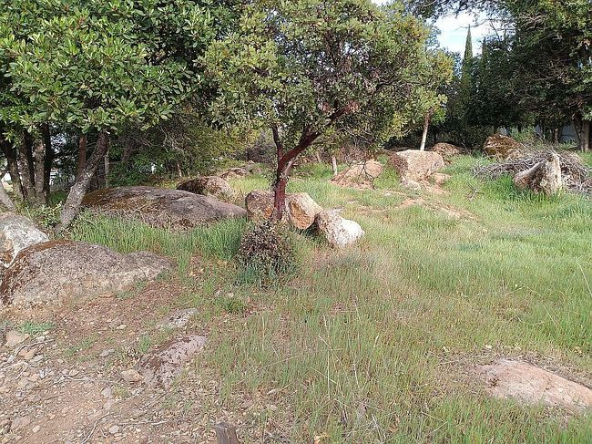Image of 10167 Del Monte Way