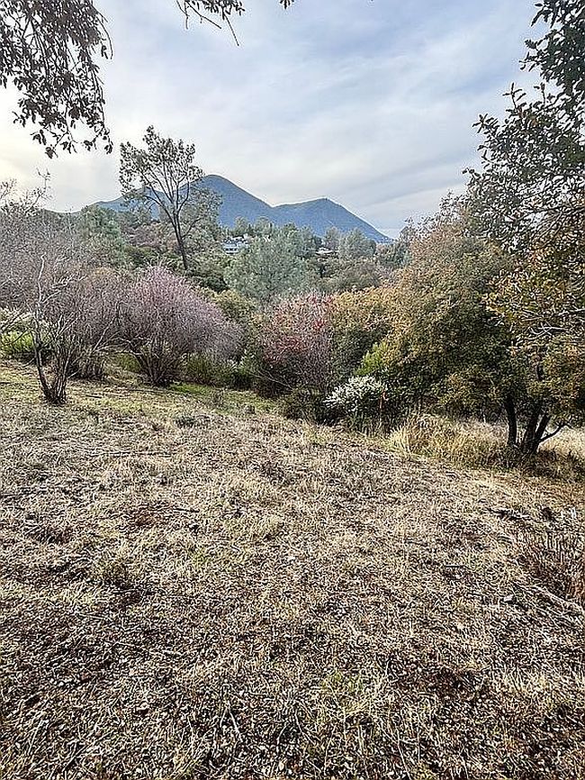 Image of 10634 Boren Bega Dr