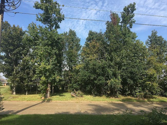 Image of 2236 Barbe St