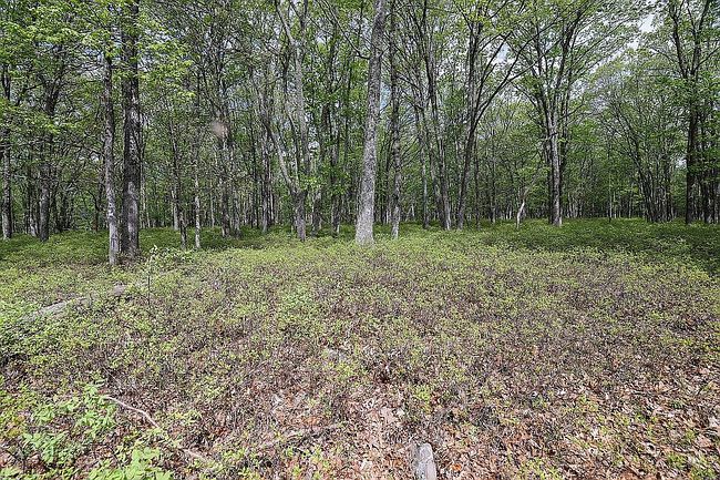 Photo of 2124 Bedford Dr, Bushkill, PA