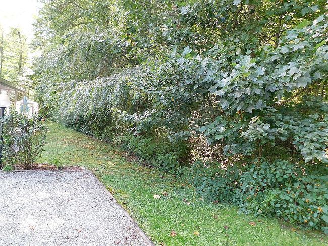 Image of 75 Morning Glory Dr