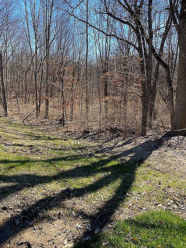 Image of Moffett Ln