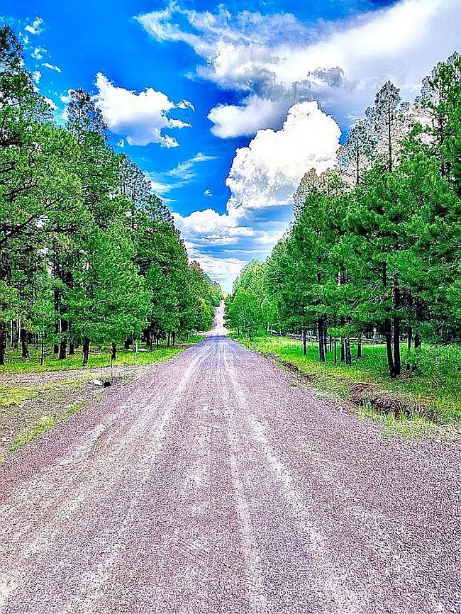 Image of 8 County Road 2083