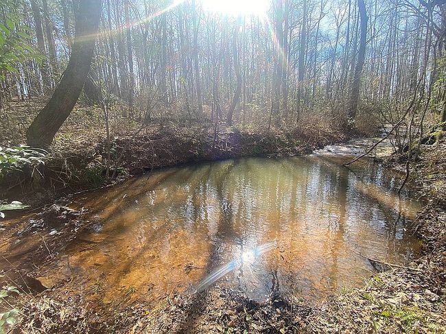 Photo of 0 Chalybeate Rd, Manchester, GA