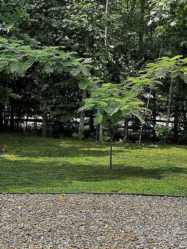 Photo of 24 Hilltop Valley Dr, Murphy, NC