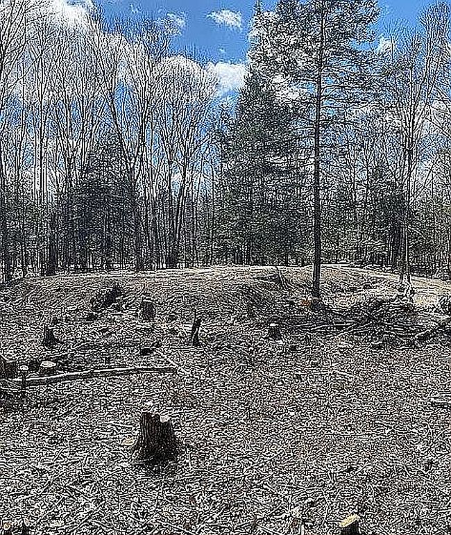 Image of 541 Taborton Rd