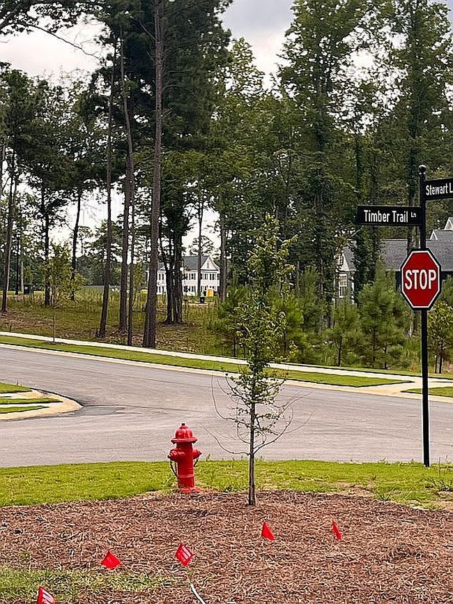 Image of 0 Timber Trail Ln Lot 107