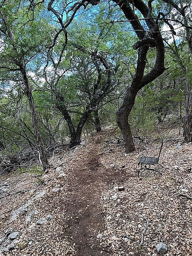 Image of 1025 Flaman Rd