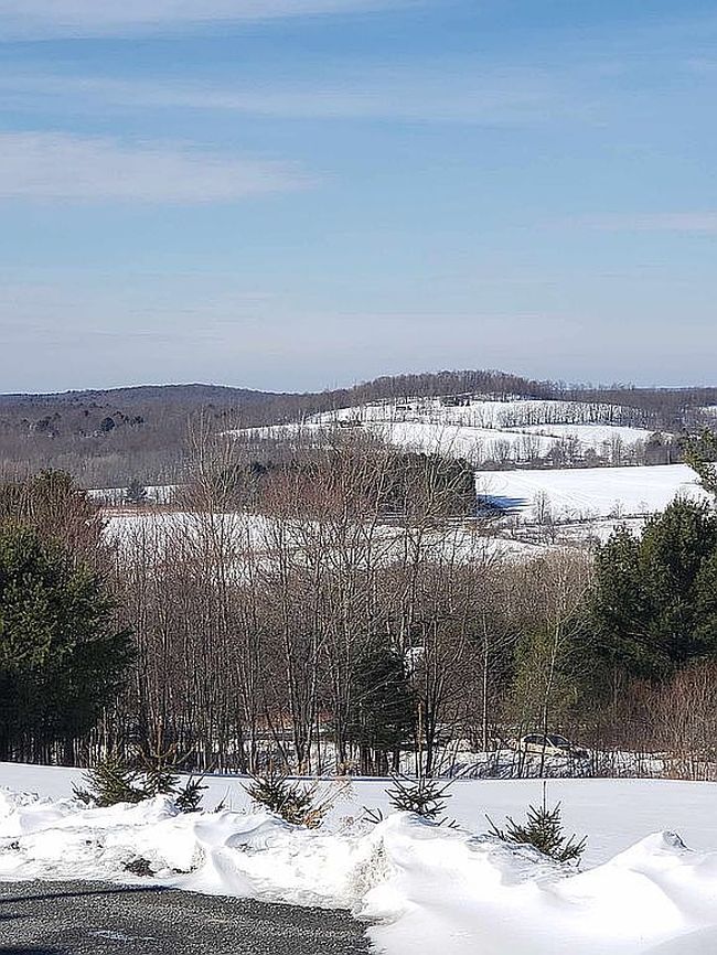 Image of 558 Smith Rd