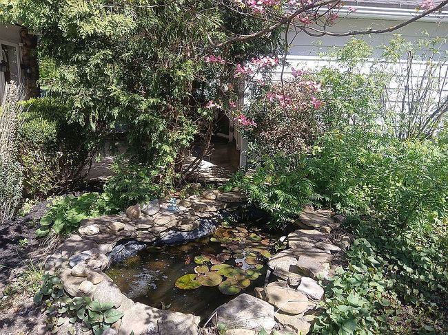 Image of 204 E Walnut St