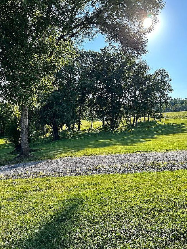 Photo of 187 Mill Hollow Rd, Jonesville, VA