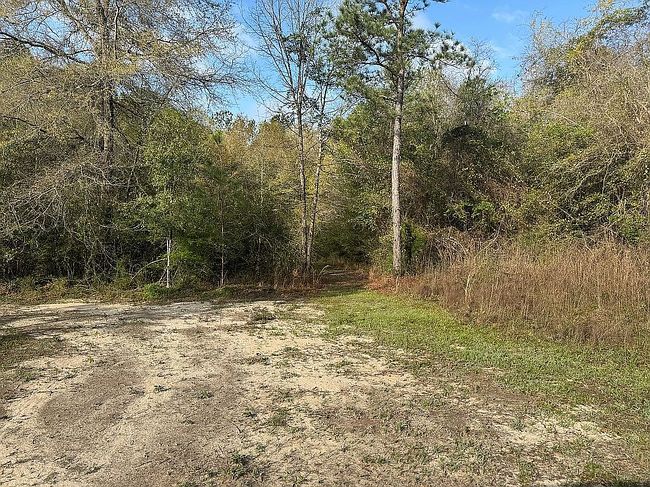 Image of 26303 County Road 21