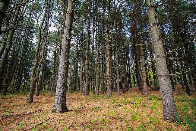 Image of 314 Clinton Hollow Rd