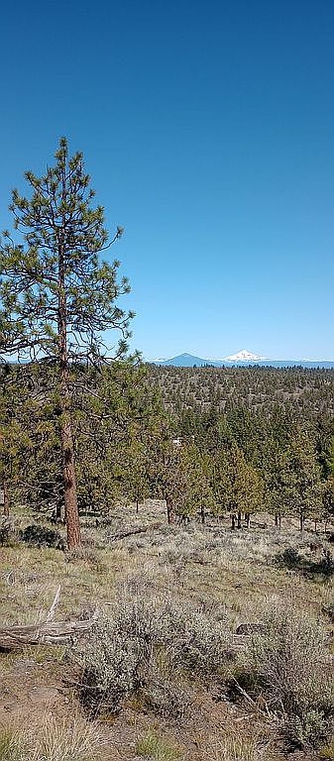 Additional photo 1 of property located at 1650 Nw Wild Rye Cir