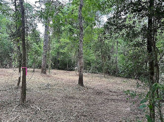 Image of 0 Mahan Dr