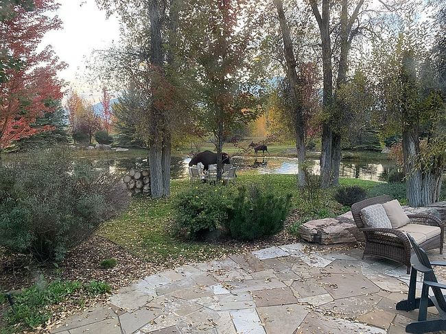Photo of 440 Cottonwood Loop, Swan Valley, ID