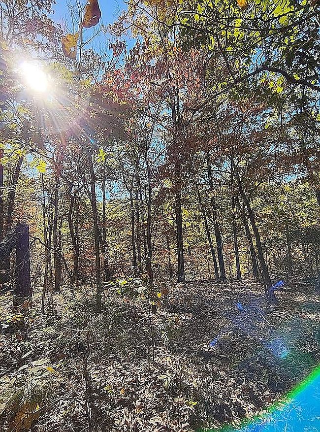 Photo of 30134 S 595th Rd, Bunch, OK