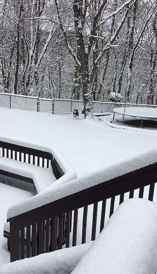 Image of 243 King Richard Dr