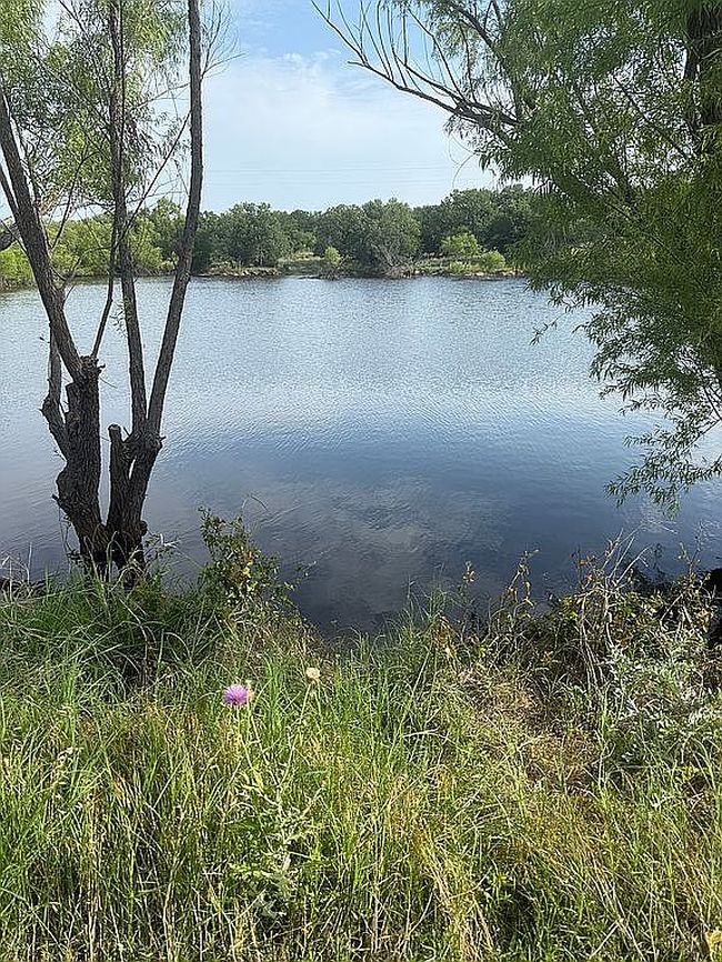 Image of 250 County Road 1734