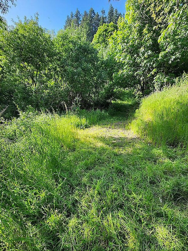 Image of 0 Mateer Rd