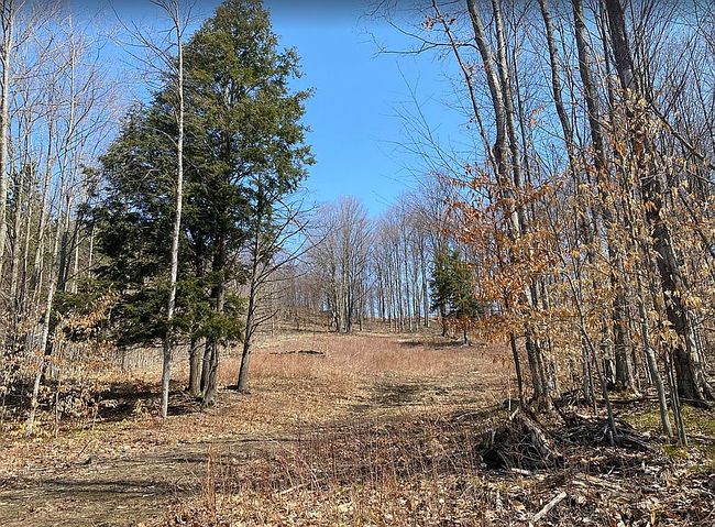 Preview of property located at Lot 29 High Pines Trl