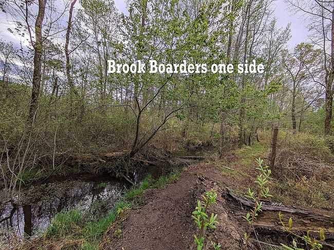 Image of 2729 Chimney Brook Rd