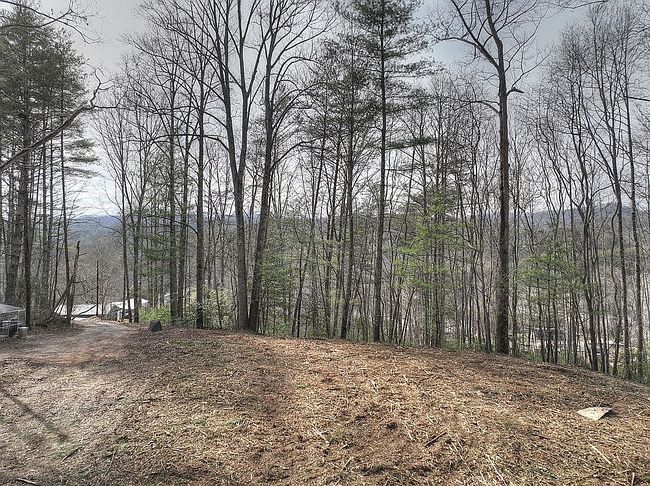 Photo of 191 Patterson Ln, Blue Ridge, GA