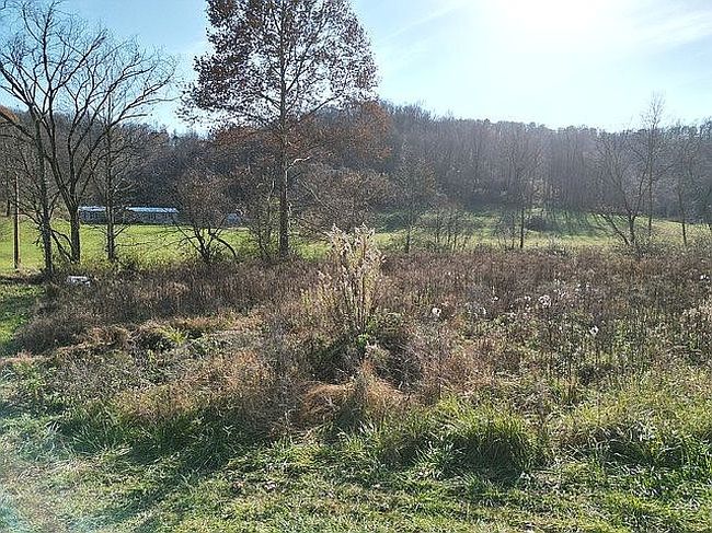 Image of 1239 Bloody Run Rd