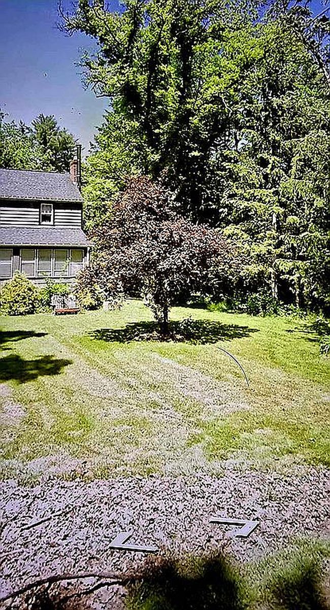 Image of 202 Roat St
