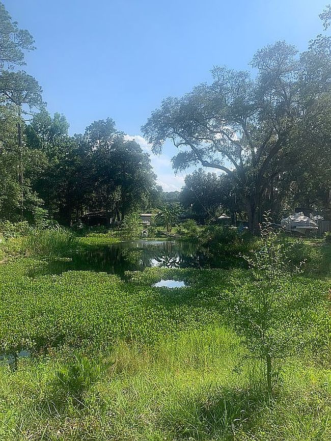 Image of 1489 Sheffield Rd