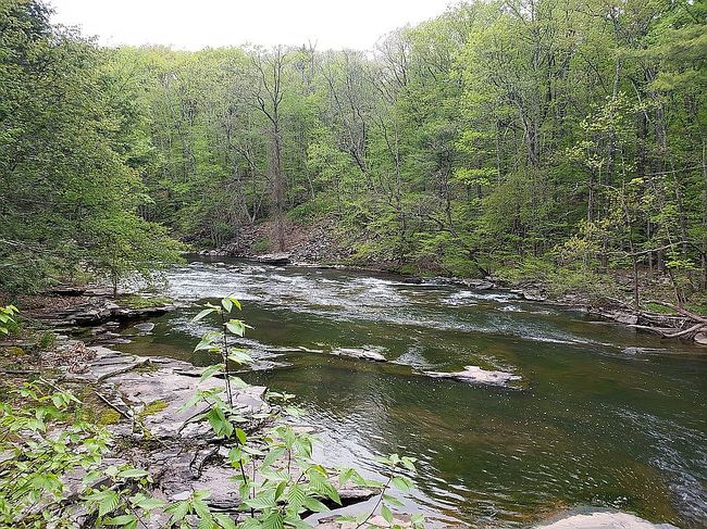Image of 1371A High Falls Rd