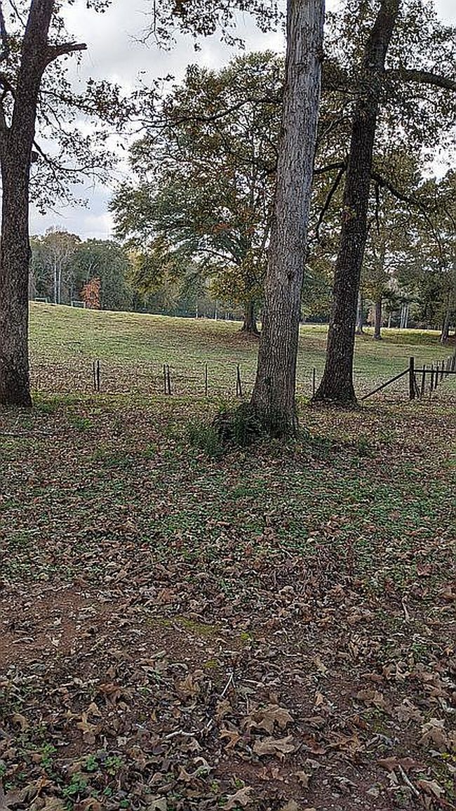 Photo of 300 N Highway 113, Carrollton, GA