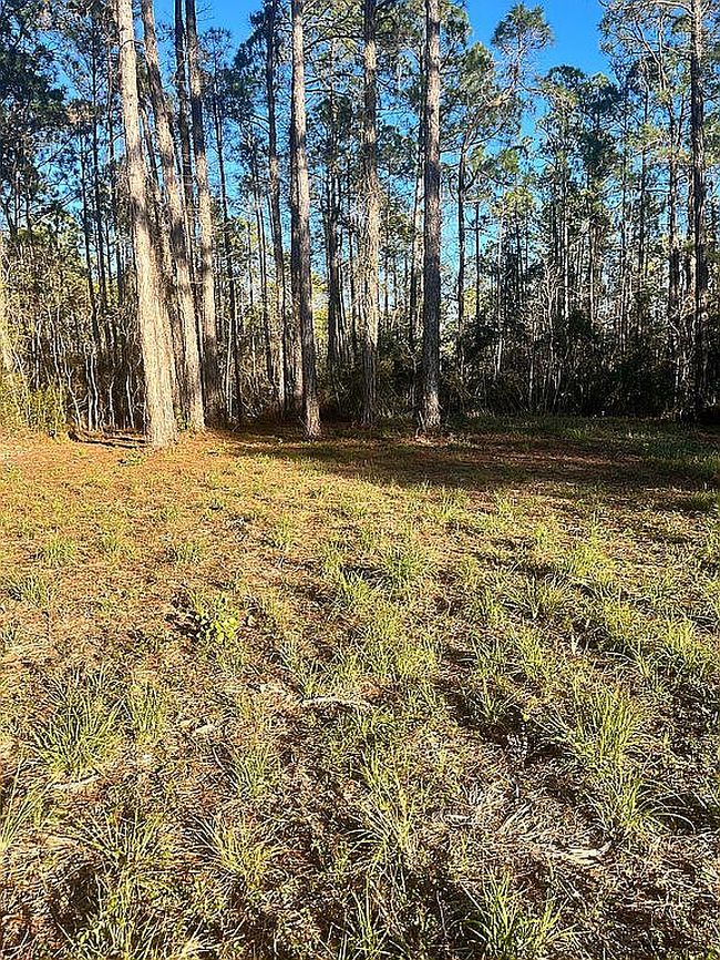 Image of 2381 Bay Grove Rd