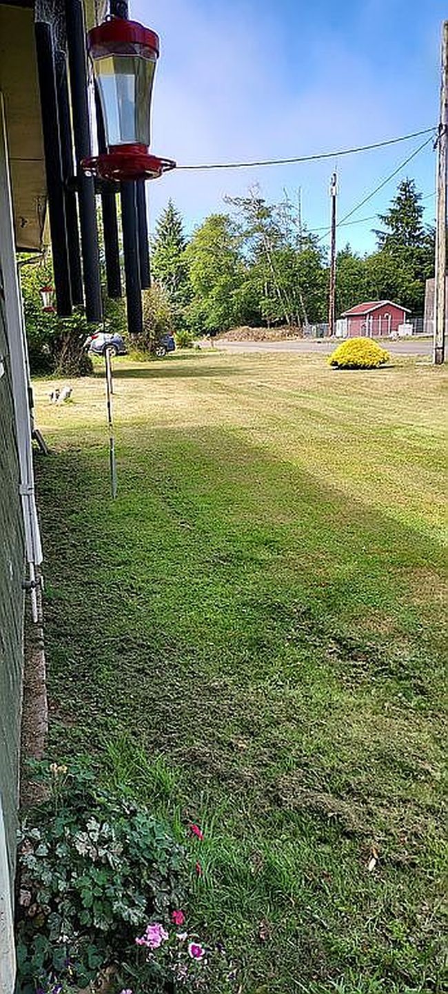 Photo of 403 Bay Center Rd, South Bend, WA
