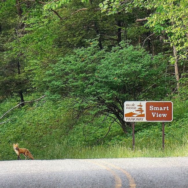 Photo of 1521 Walnut Knob Rd Se, Floyd, VA