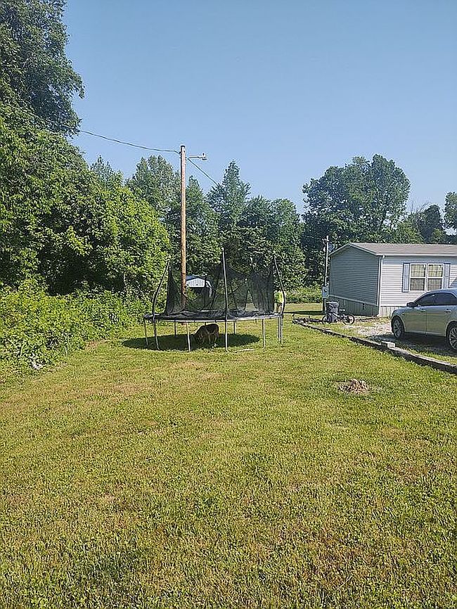 Image of 175 Adams Ridge Rd