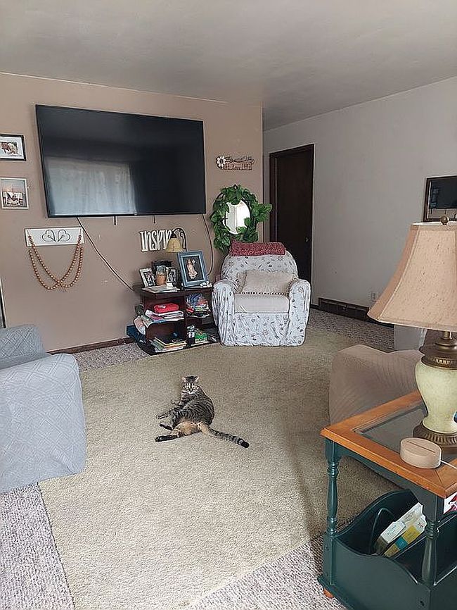 Image of 2332 Lincoln Park Dr