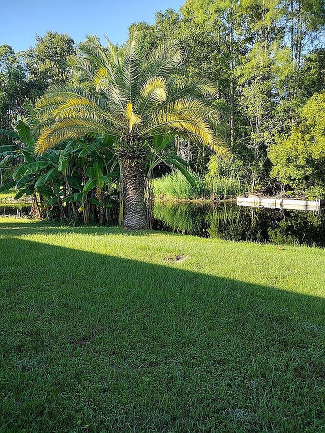 Image of 3000 Us Hwy 17 92 W Lot 278