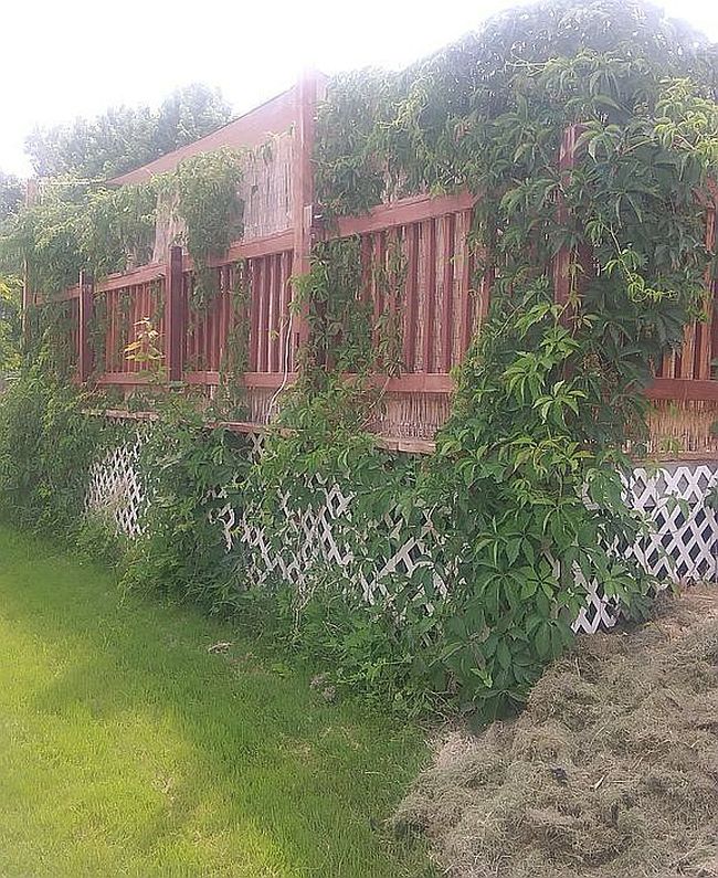 Image of 811 2nd Ave #1