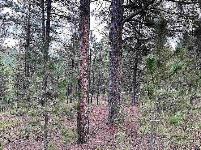 Photo of 150 Bavarian Dr, Rapid City, SD