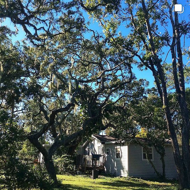 Image of 1252 Country Rd