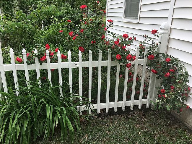 Photo of 818 S Pine St, Nowata, OK