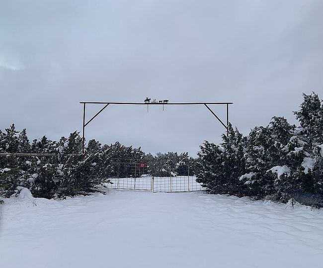 Photo of 3429 County Road 184, Ovalo, TX