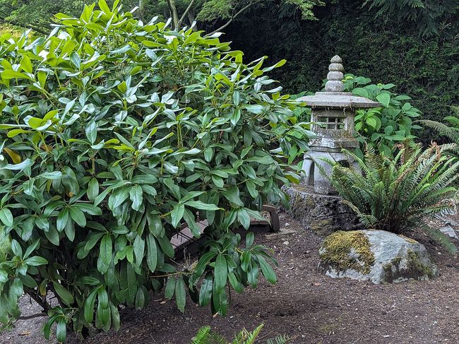 Photo of 5214 W Old Stump Dr Nw, Gig Harbor, WA