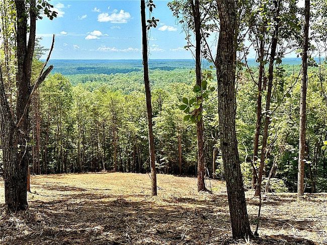 Image of 102 Long View Ct