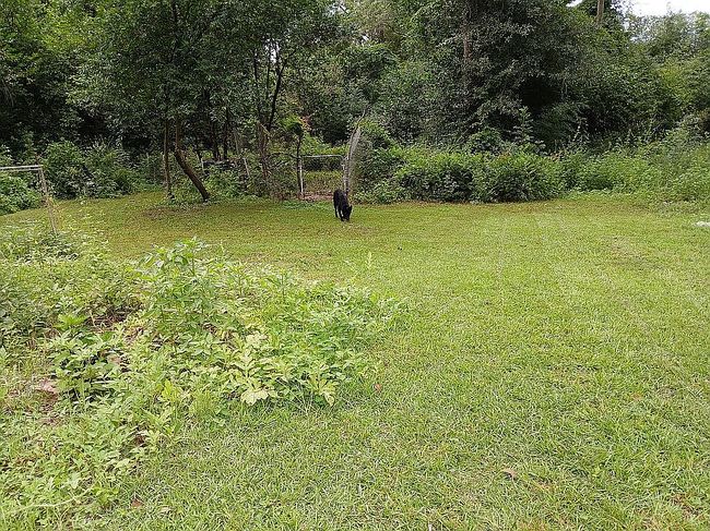 Photo of 1222 Campbellton Ave, Chipley, FL